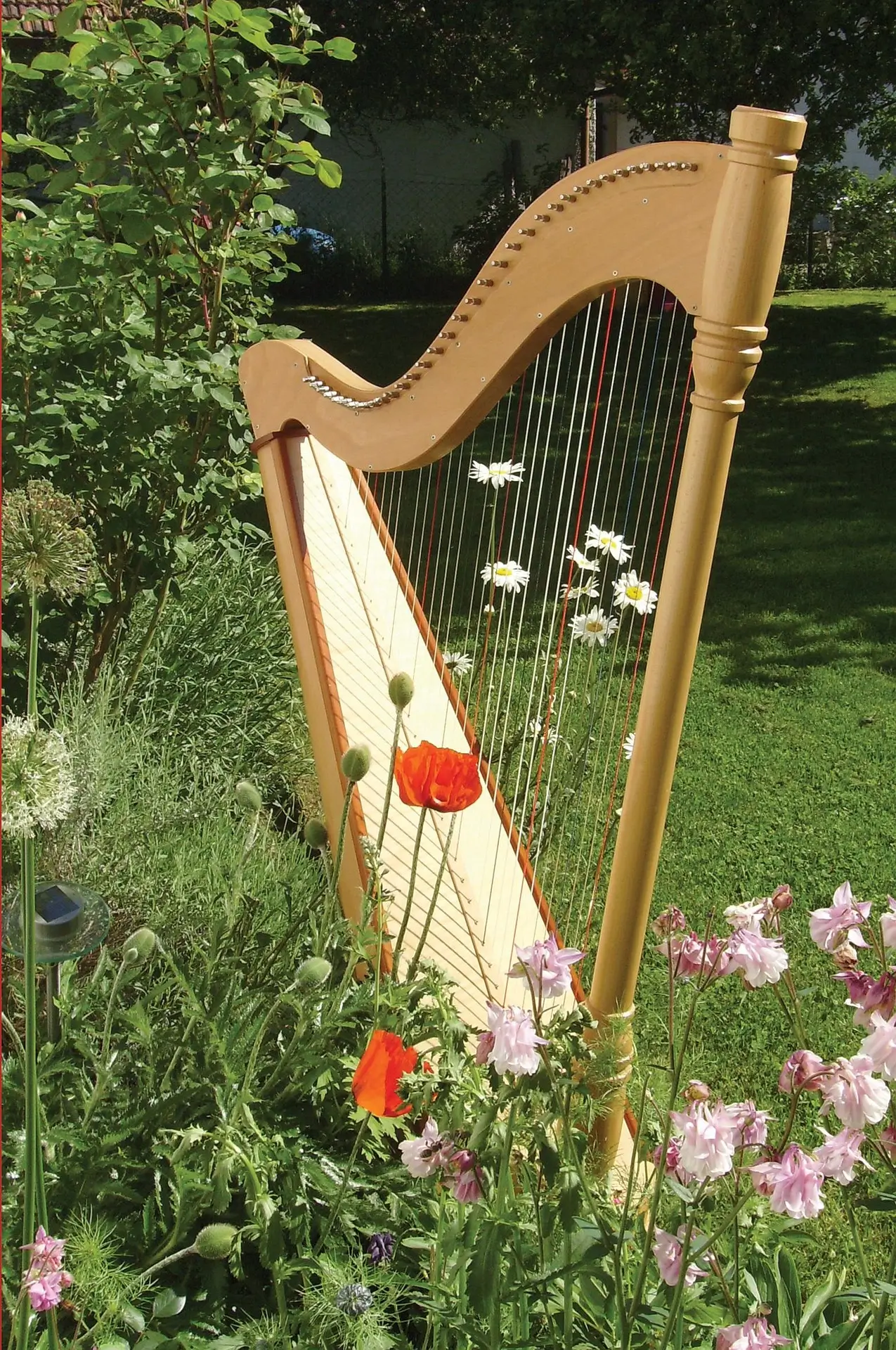 Harp